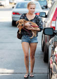 th_44426_hayden_521_123_802lo.jpg