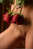 Maria - Red Rosesj0g8dtcdmd.jpg