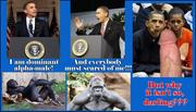http://img196.imagevenue.com/loc24/th_856992839_obama_alpha_male_123_24lo.jpg